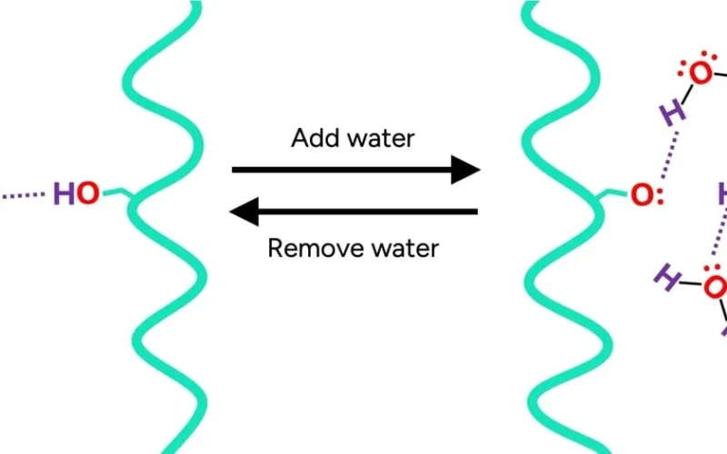 Hair protein bonds breaking when exposed to water molecules