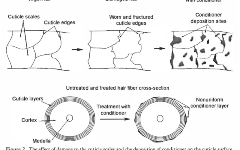 Float test showing damaged and undamaged hair strands in water